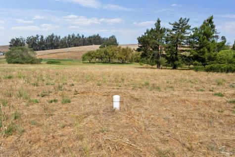6157 Bodega Avenue Petaluma CA 94952
