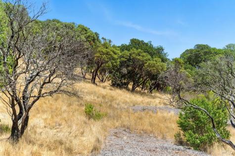70 Oxford Drive San Rafael CA 94903