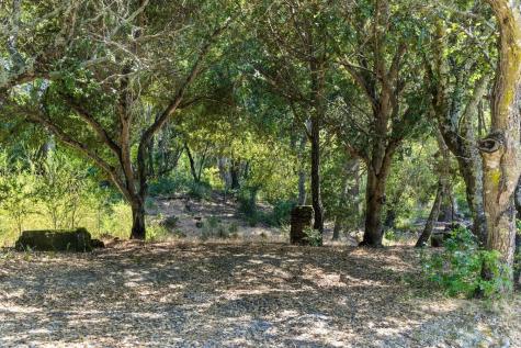 70 Oxford Drive San Rafael CA 94903