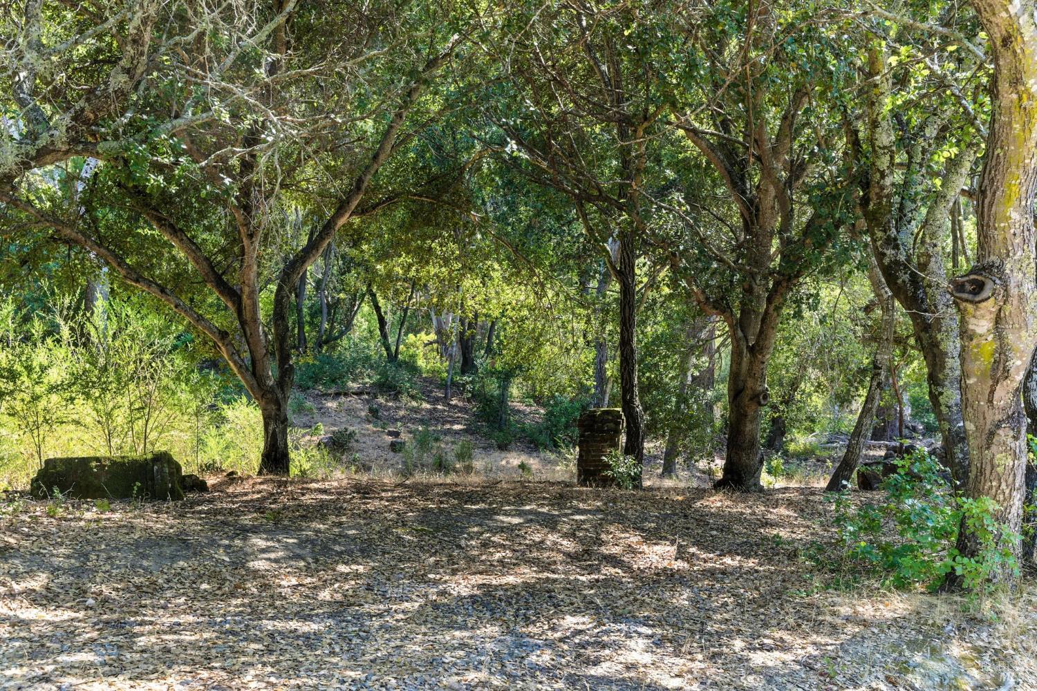 70 Oxford Drive San Rafael CA 94903