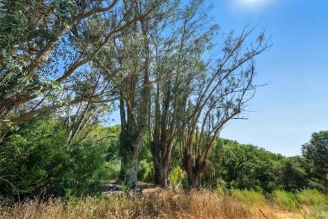 70 Oxford Drive San Rafael CA 94903