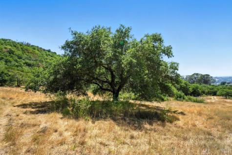 70 Oxford Drive San Rafael CA 94903