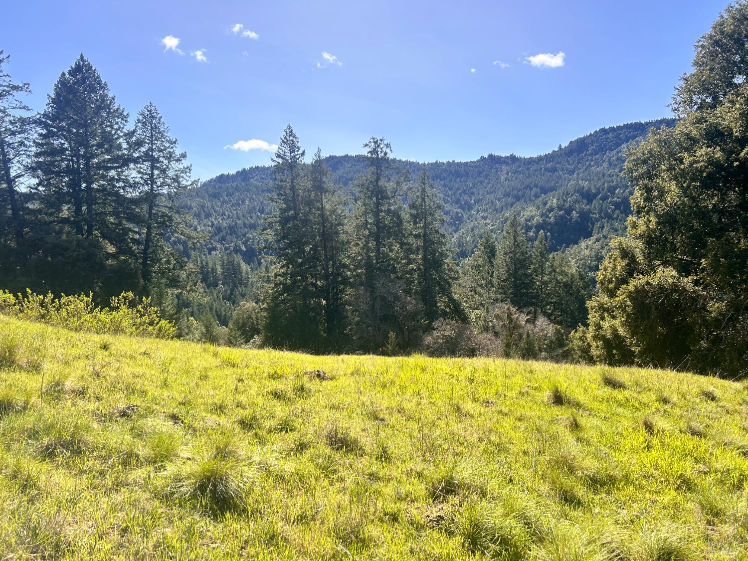 4100 Hansen Ranch Road Piercy CA 95587
