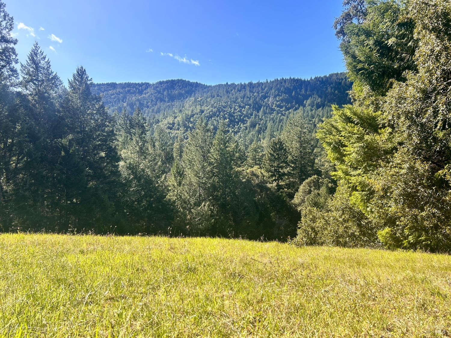 4100 Hansen Ranch Road Piercy CA 95587