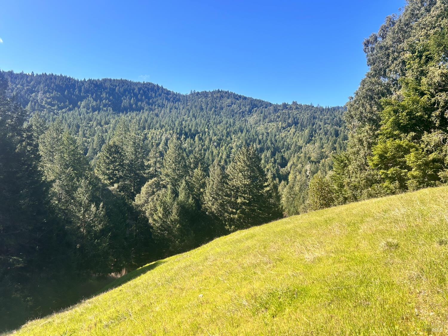 4100 Hansen Ranch Road Piercy CA 95587