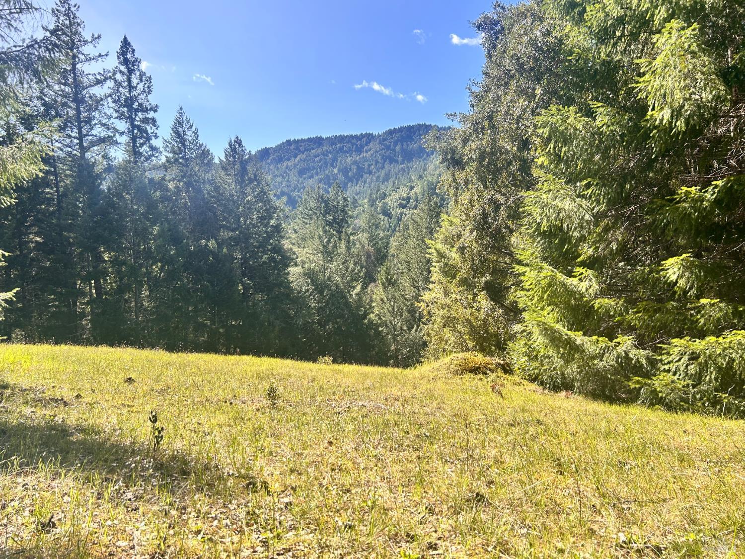 4100 Hansen Ranch Road Piercy CA 95587