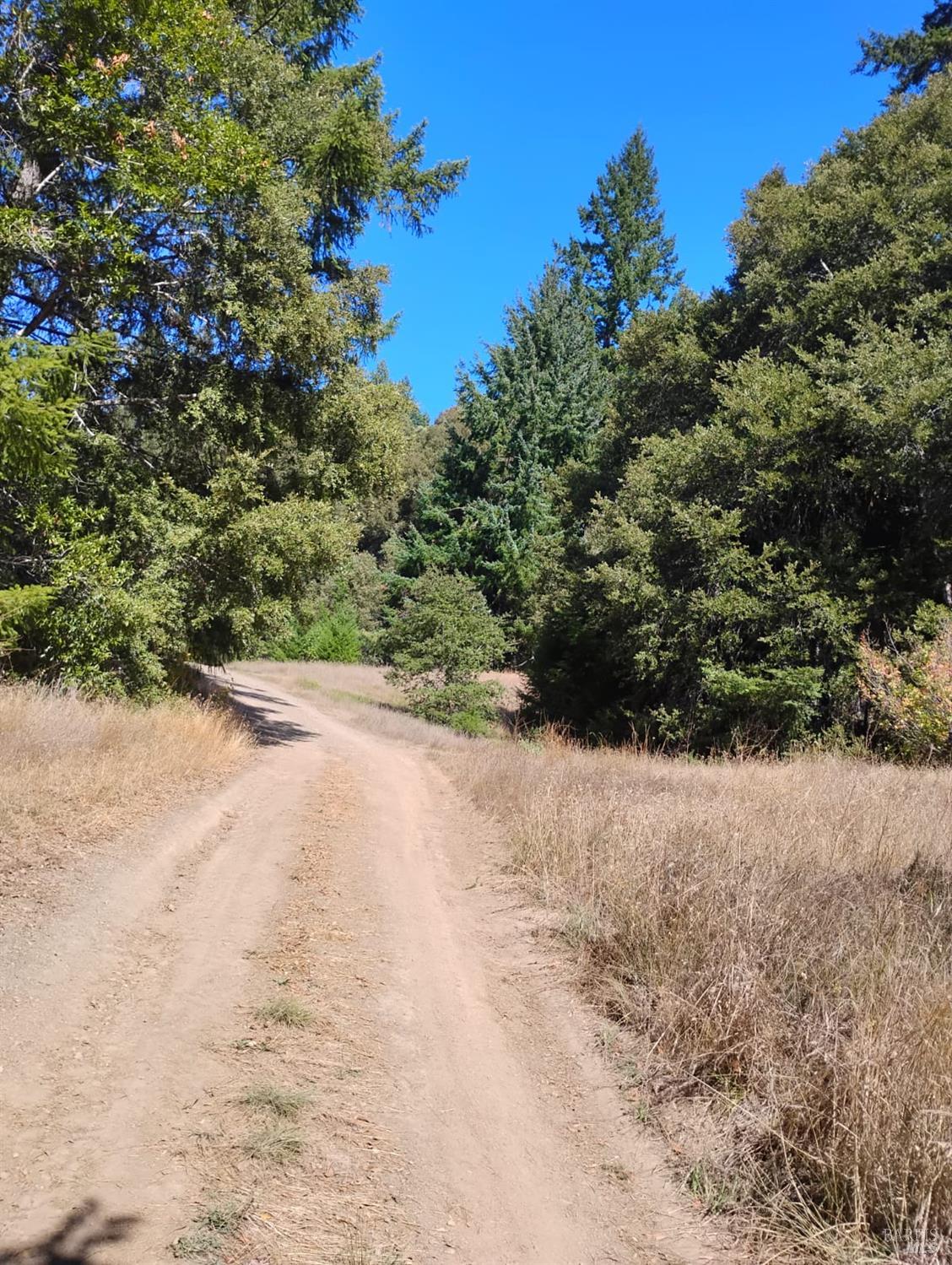 4100 Hansen Ranch Road Piercy CA 95587