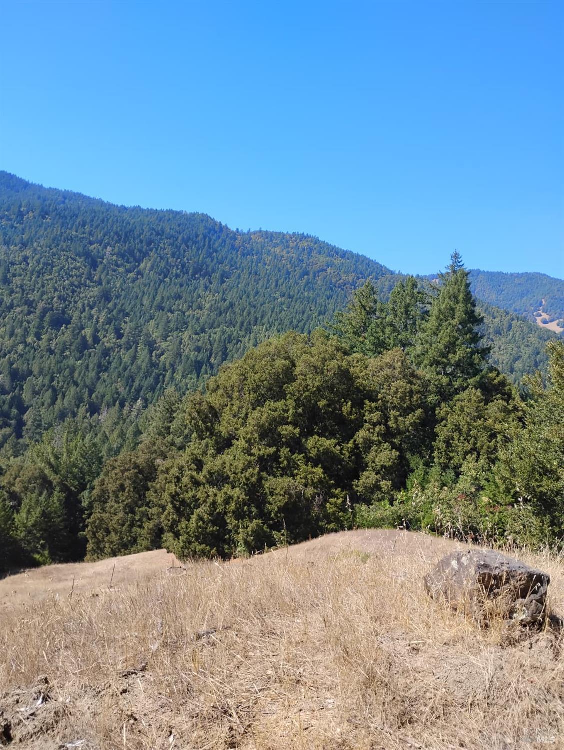 4100 Hansen Ranch Road Piercy CA 95587