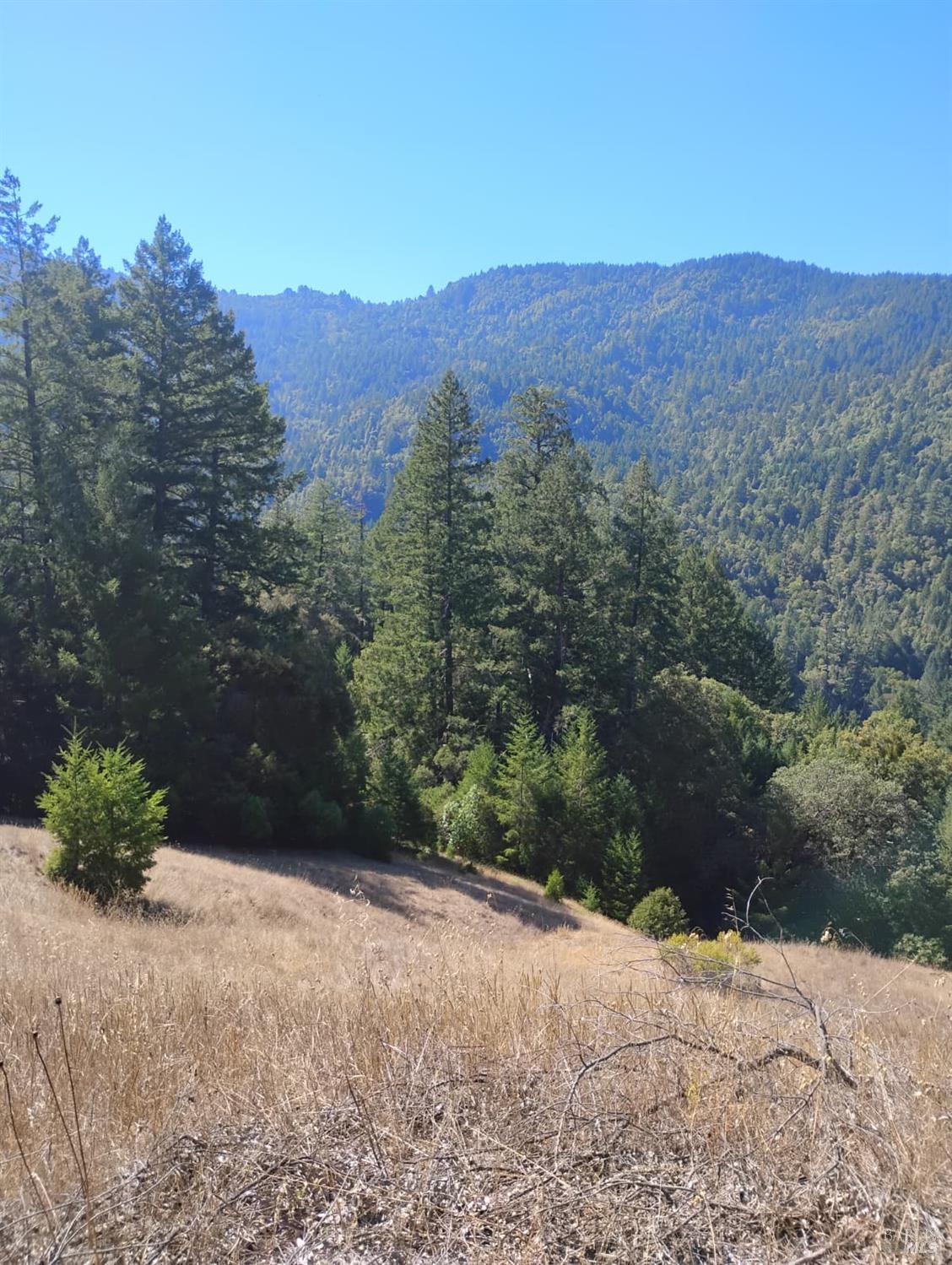 4100 Hansen Ranch Road Piercy CA 95587