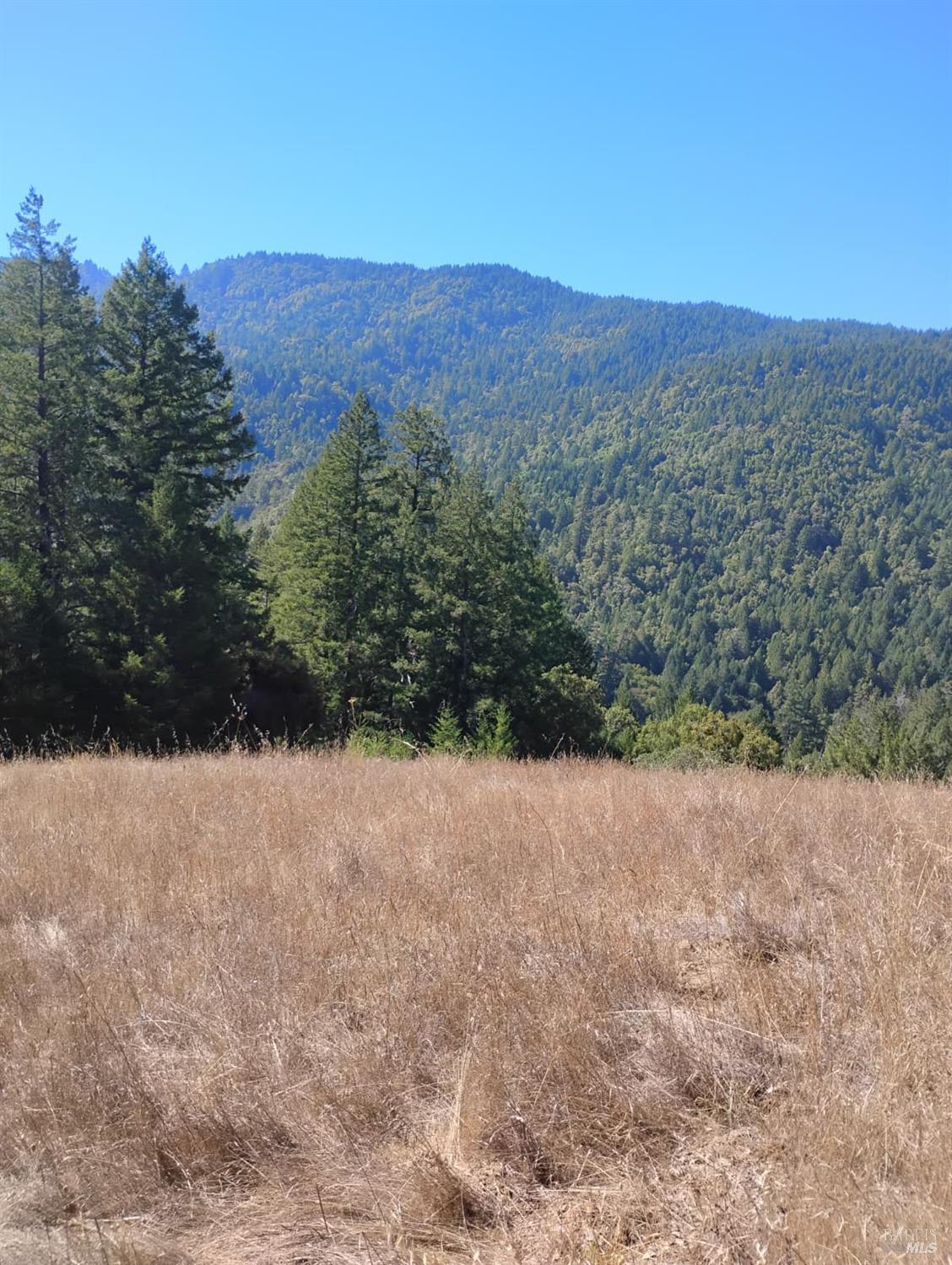 4100 Hansen Ranch Road Piercy CA 95587