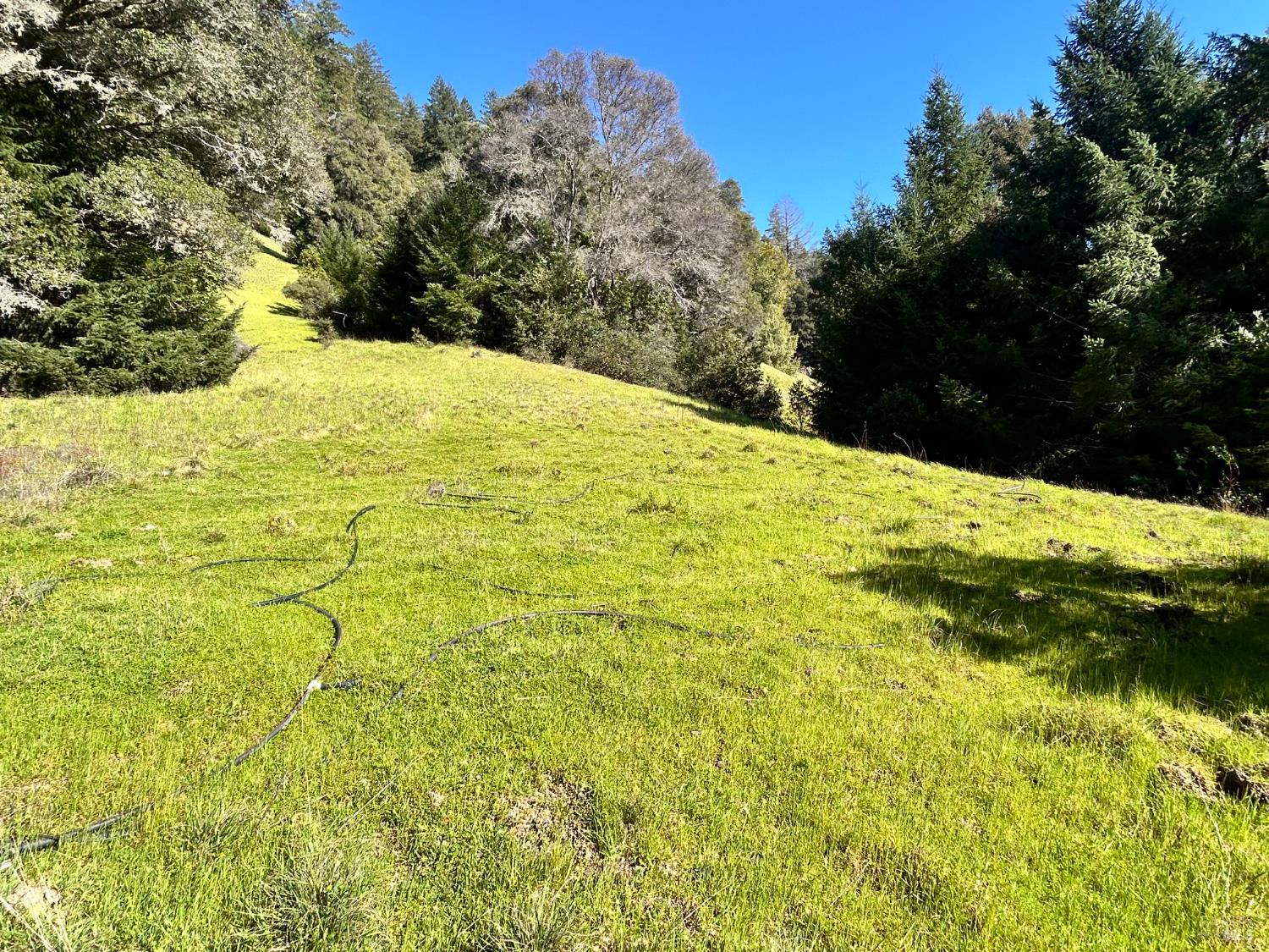 4100 Hansen Ranch Road Piercy CA 95587