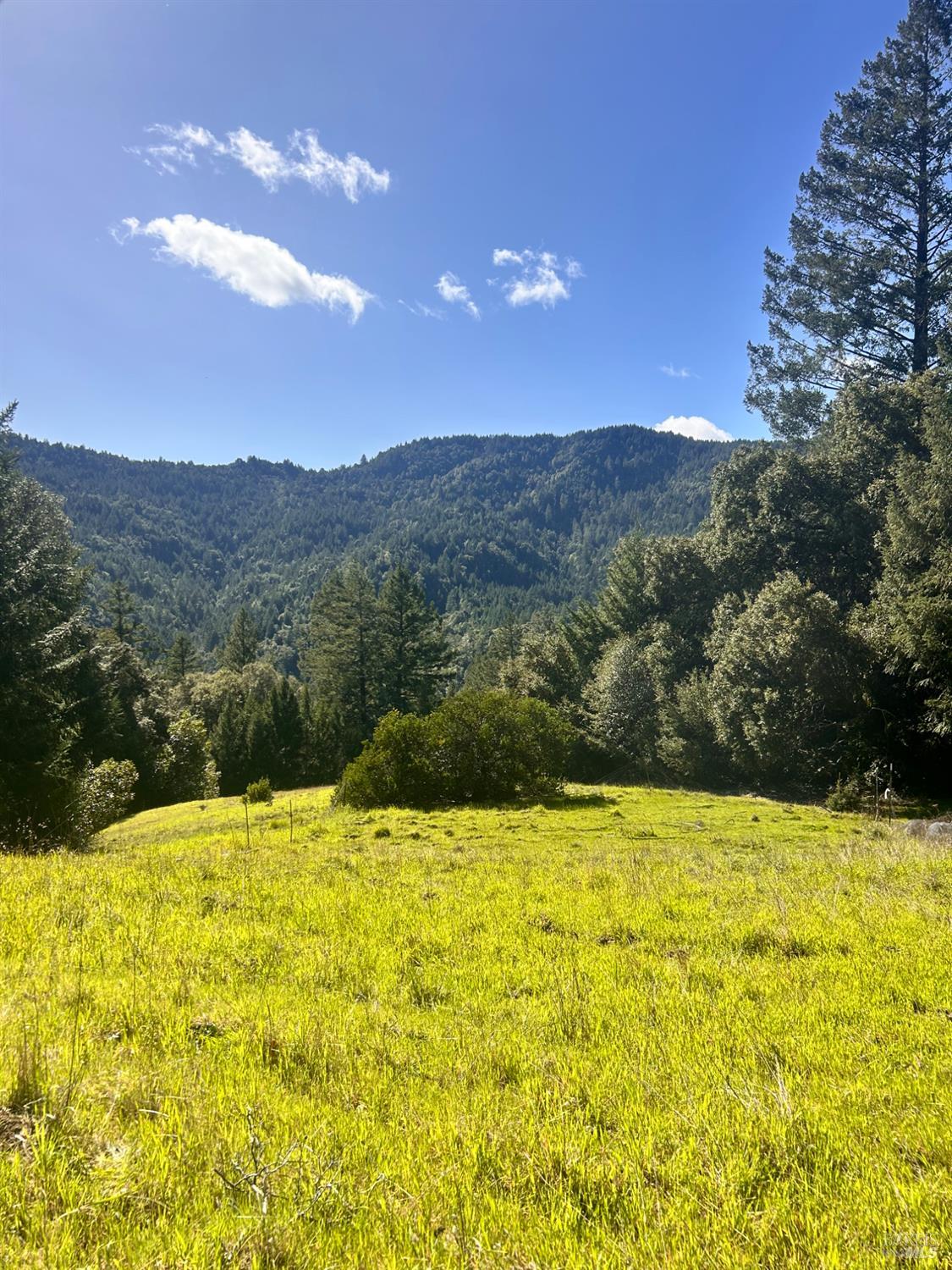 4100 Hansen Ranch Road Piercy CA 95587