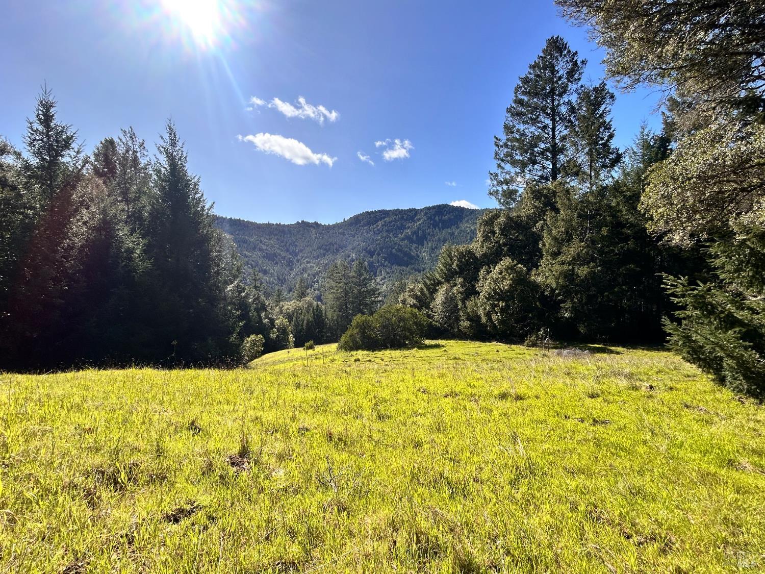 4100 Hansen Ranch Road Piercy CA 95587