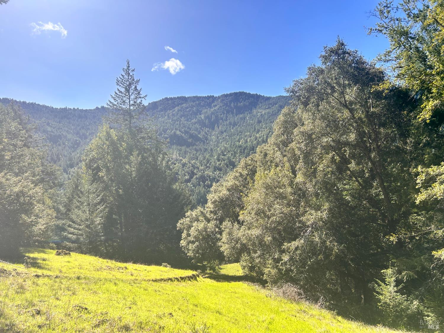 4100 Hansen Ranch Road Piercy CA 95587