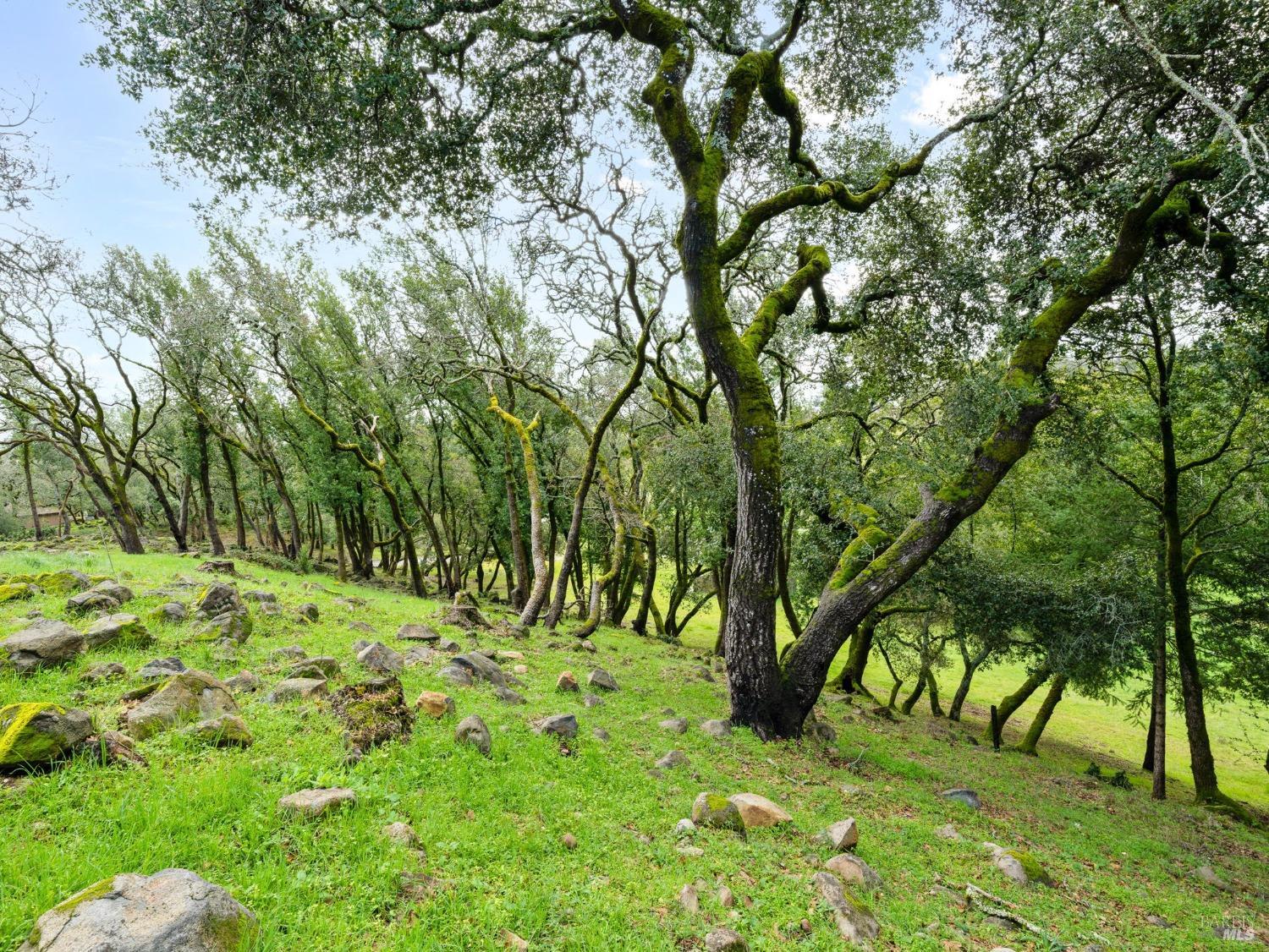 2924 Old Bennett Ridge Road Santa Rosa CA 95404