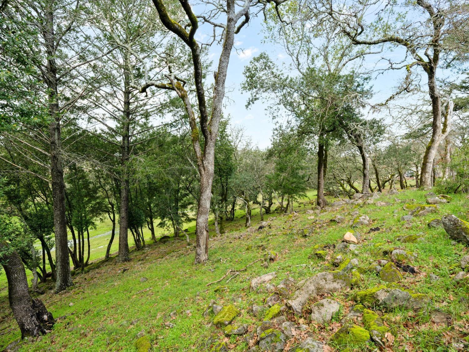 2924 Old Bennett Ridge Road Santa Rosa CA 95404