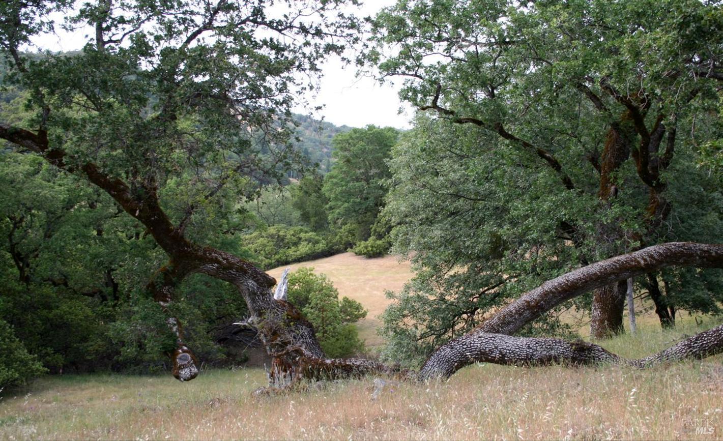 1482 Boonville Road Ukiah CA 95482