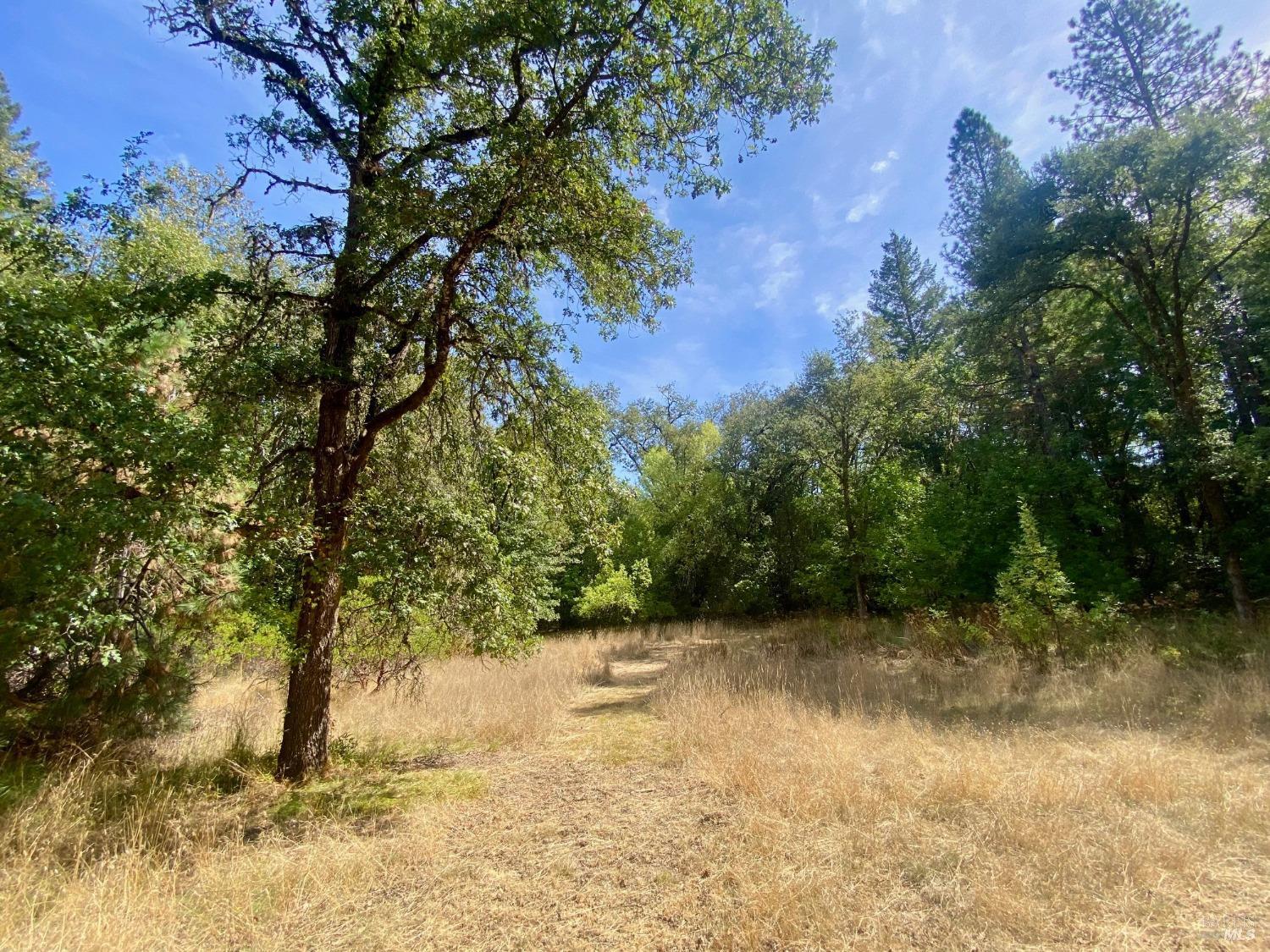 180 Mulligan Road Laytonville CA 95454