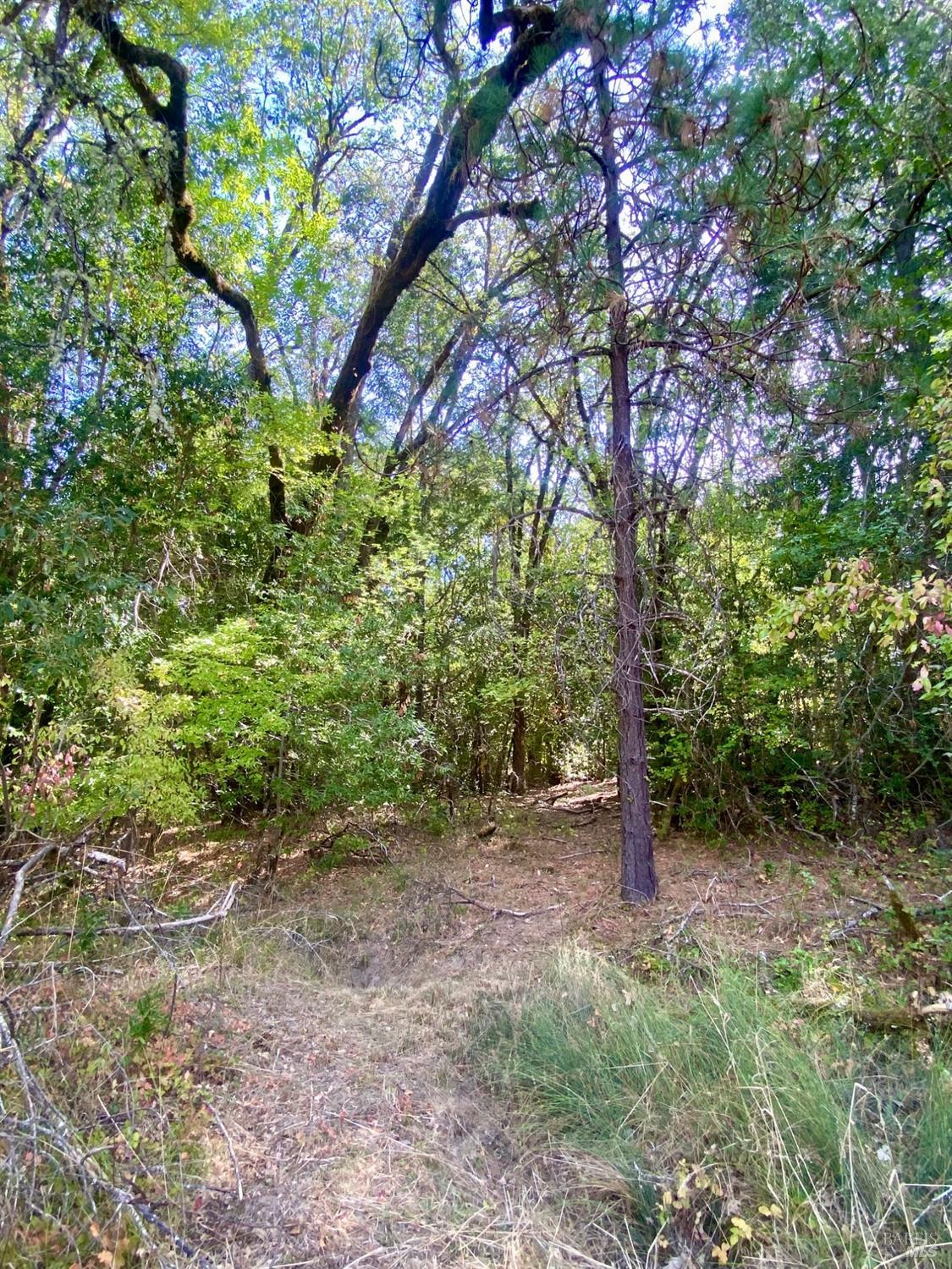 180 Mulligan Road Laytonville CA 95454