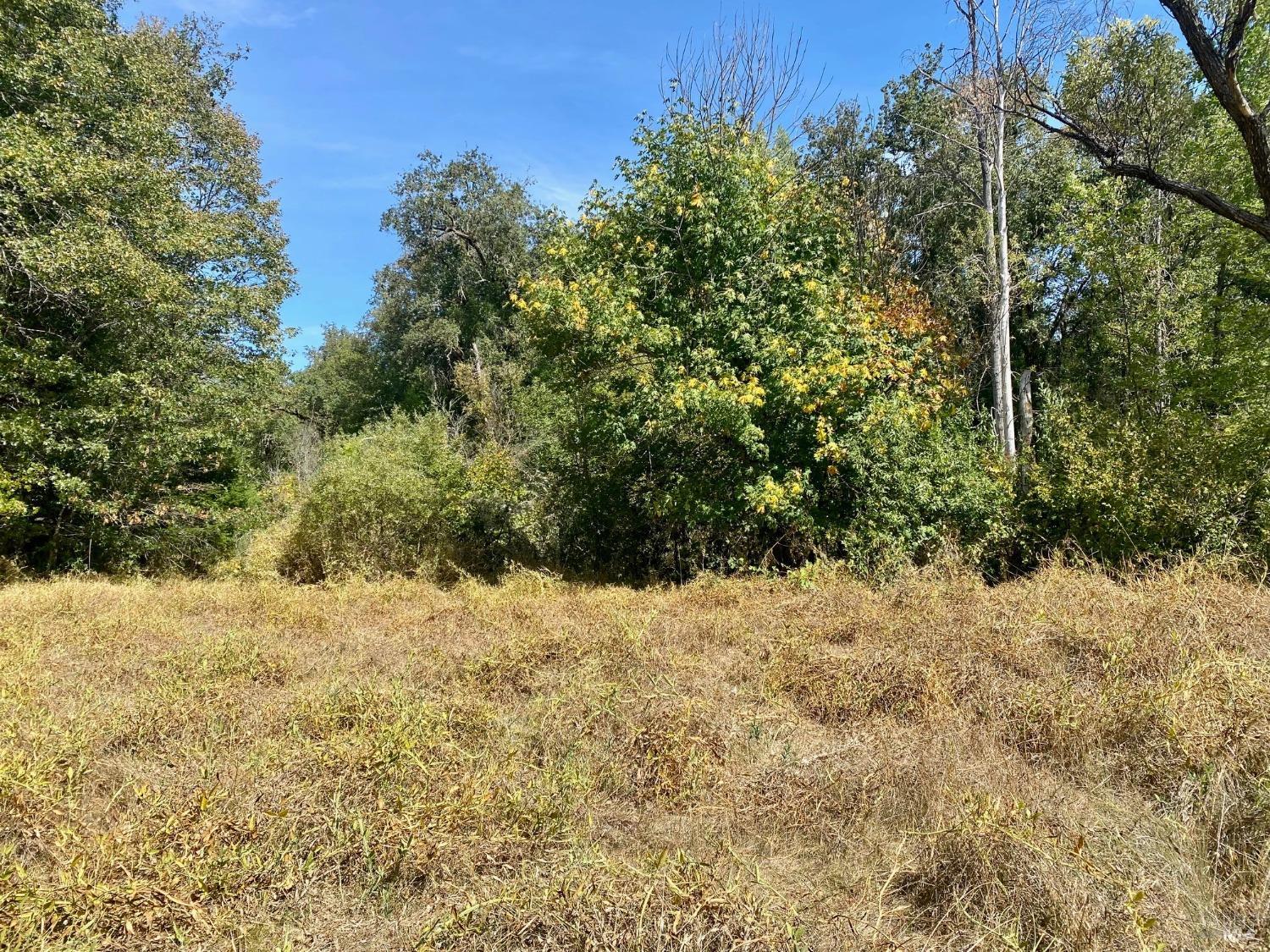 180 Mulligan Road Laytonville CA 95454