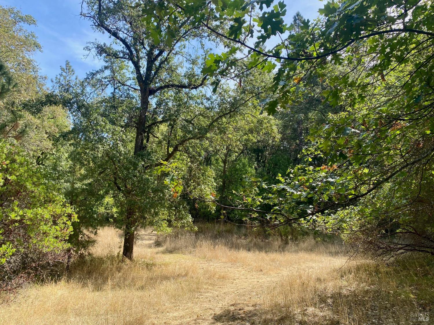 180 Mulligan Road Laytonville CA 95454