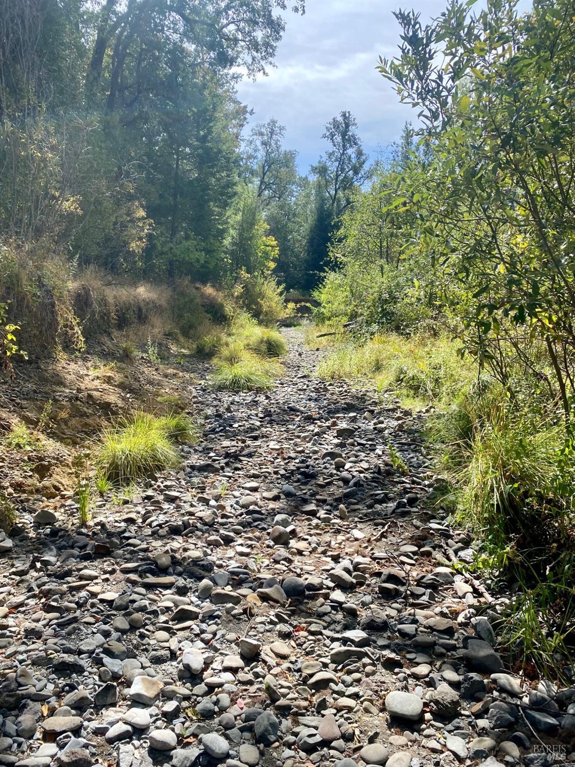 180 Mulligan Road Laytonville CA 95454