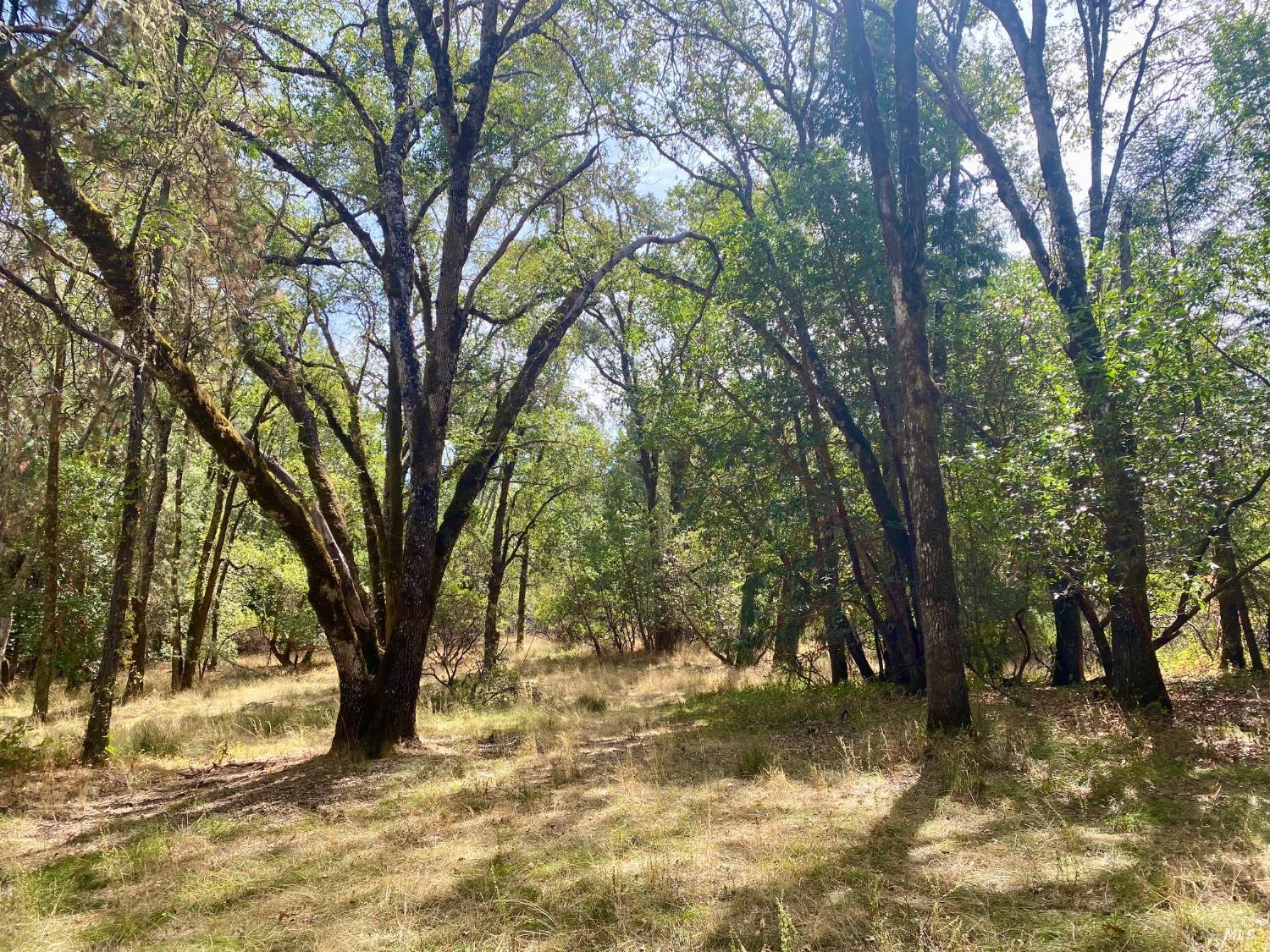 180 Mulligan Road Laytonville CA 95454