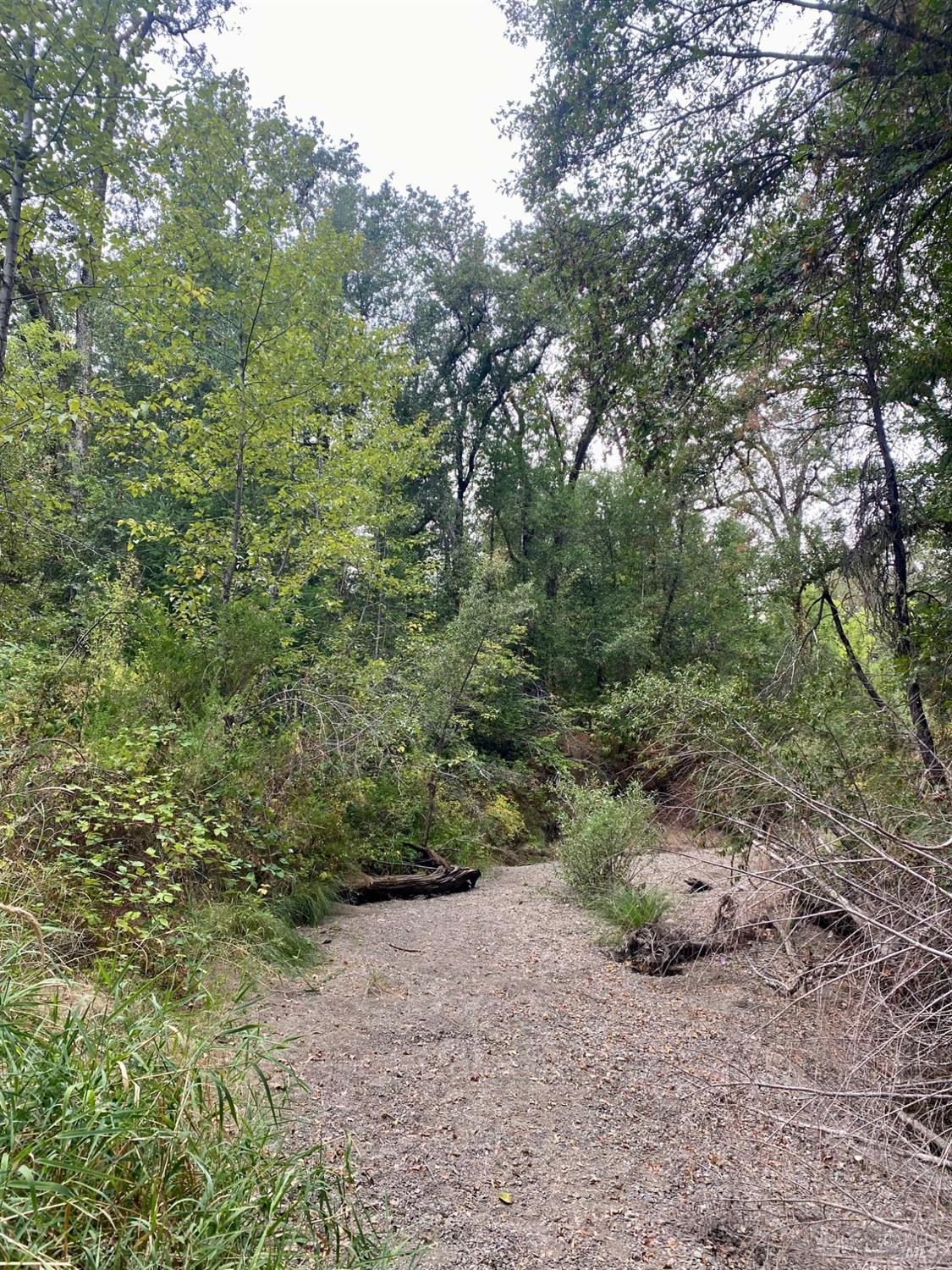 180 Mulligan Road Laytonville CA 95454