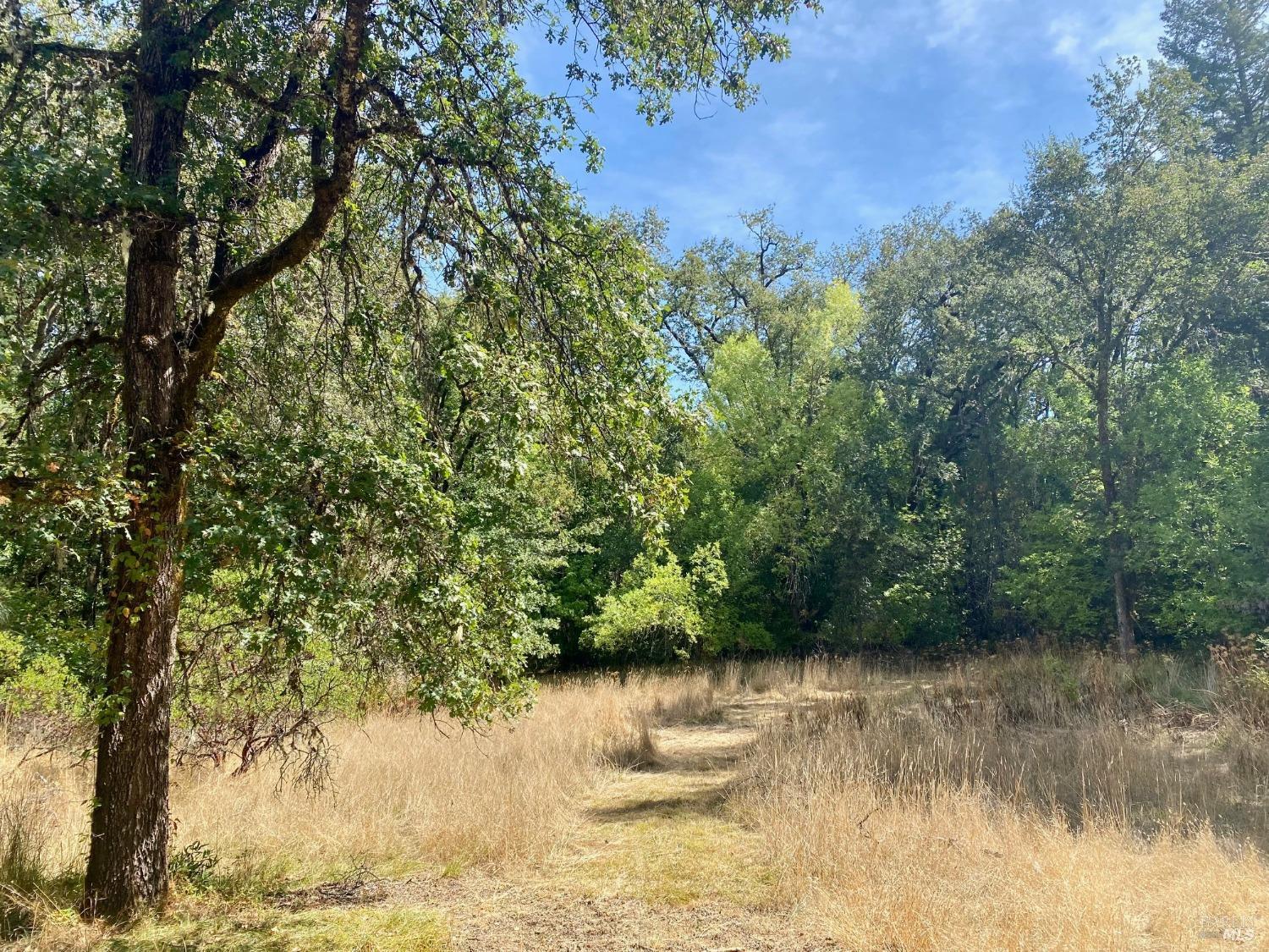 180 Mulligan Road Laytonville CA 95454