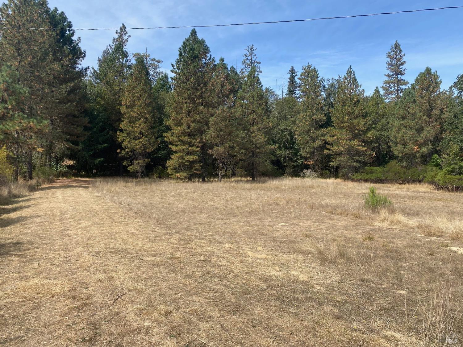 180 Mulligan Road Laytonville CA 95454