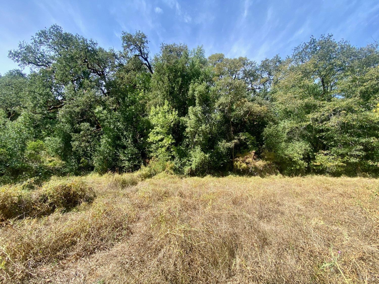 180 Mulligan Road Laytonville CA 95454