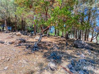 10266 Hok Has Ha Lane Kelseyville CA 95451