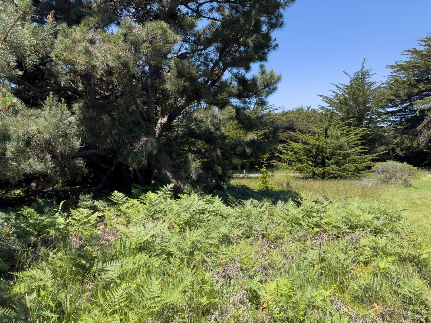 41889 Leeward Road The Sea Ranch CA 95497