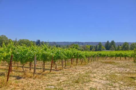 5200 116 N Highway Sebastopol CA 95472