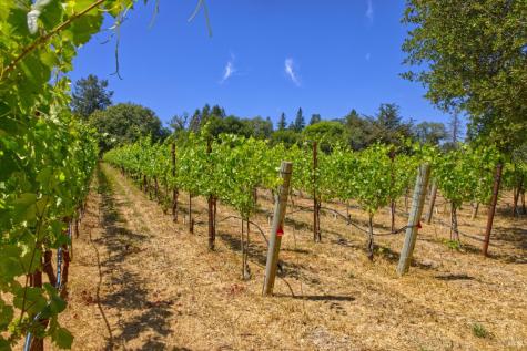 5200 116 N Highway Sebastopol CA 95472