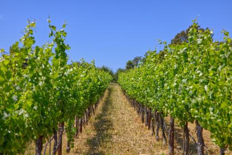 5200 116 N Highway Sebastopol CA 95472