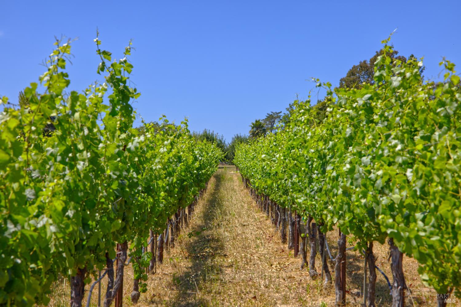 5200 116 N Highway Sebastopol CA 95472
