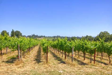5200 116 N Highway Sebastopol CA 95472