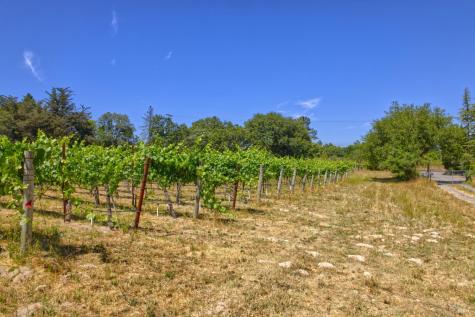 5200 116 N Highway Sebastopol CA 95472