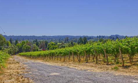 5200 116 N Highway Sebastopol CA 95472