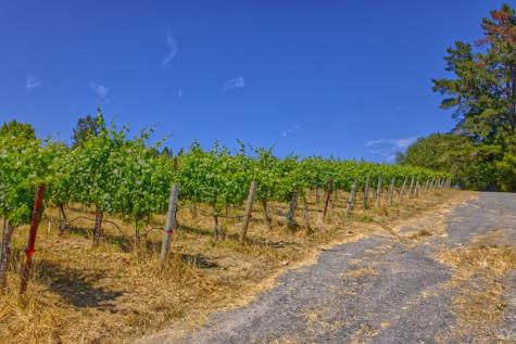 5200 116 N Highway Sebastopol CA 95472