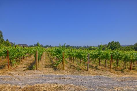 5200 116 N Highway Sebastopol CA 95472