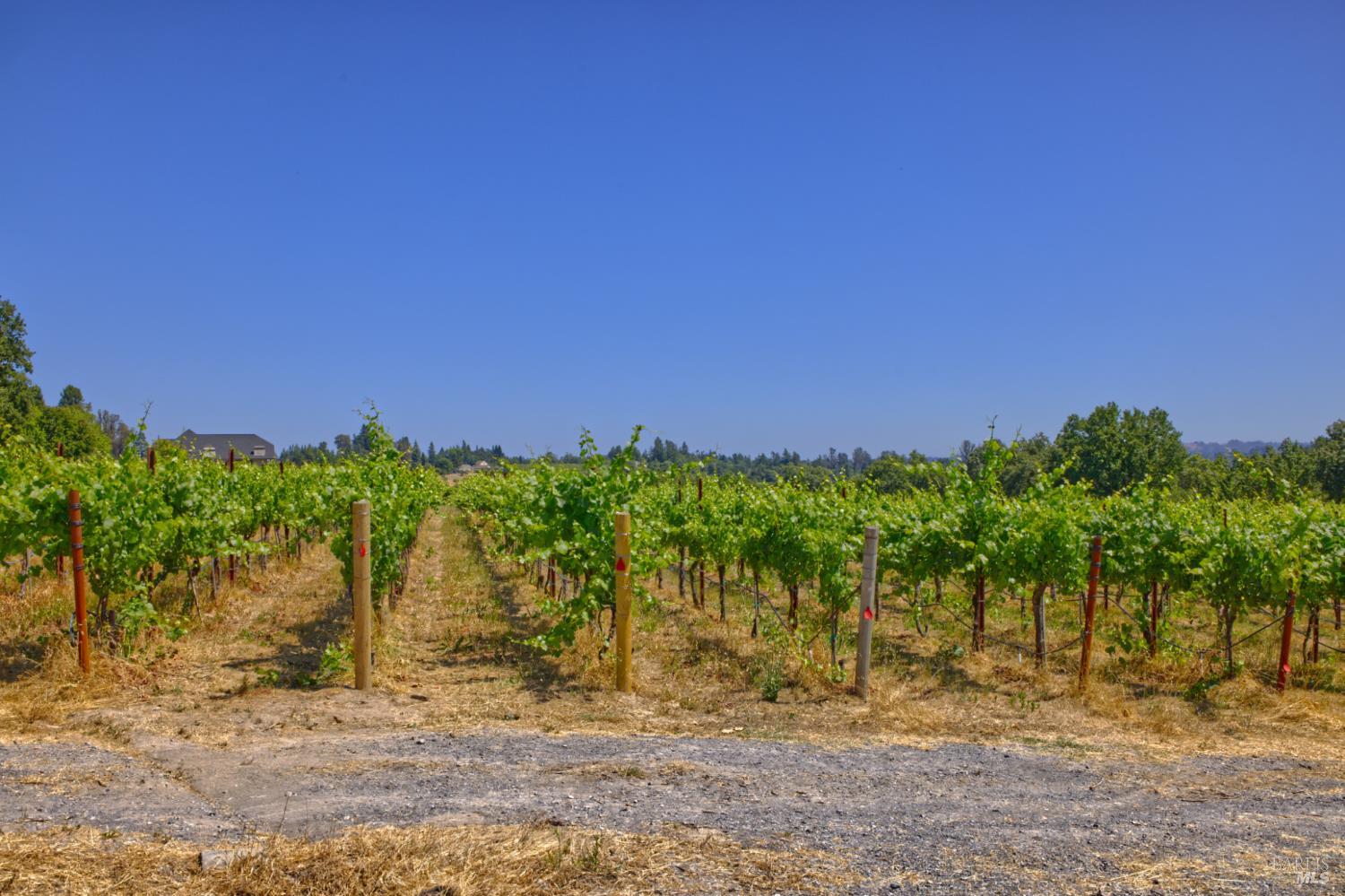 5200 116 N Highway Sebastopol CA 95472