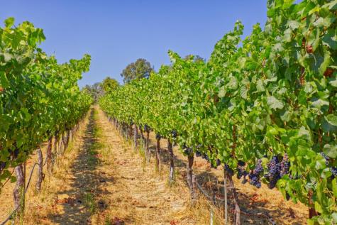 5200 116 N Highway Sebastopol CA 95472