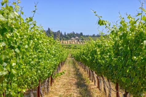 5200 116 N Highway Sebastopol CA 95472