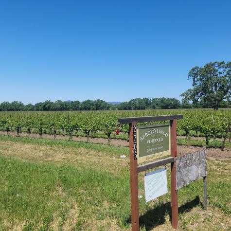 2705 River Road Windsor CA 95492