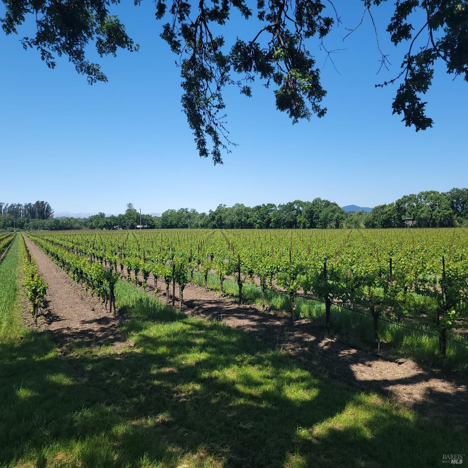 2705 River Road Windsor CA 95492