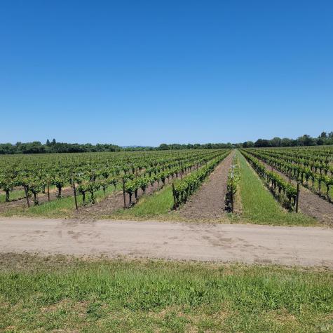2705 River Road Windsor CA 95492