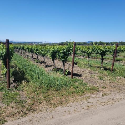 2705 River Road Windsor CA 95492