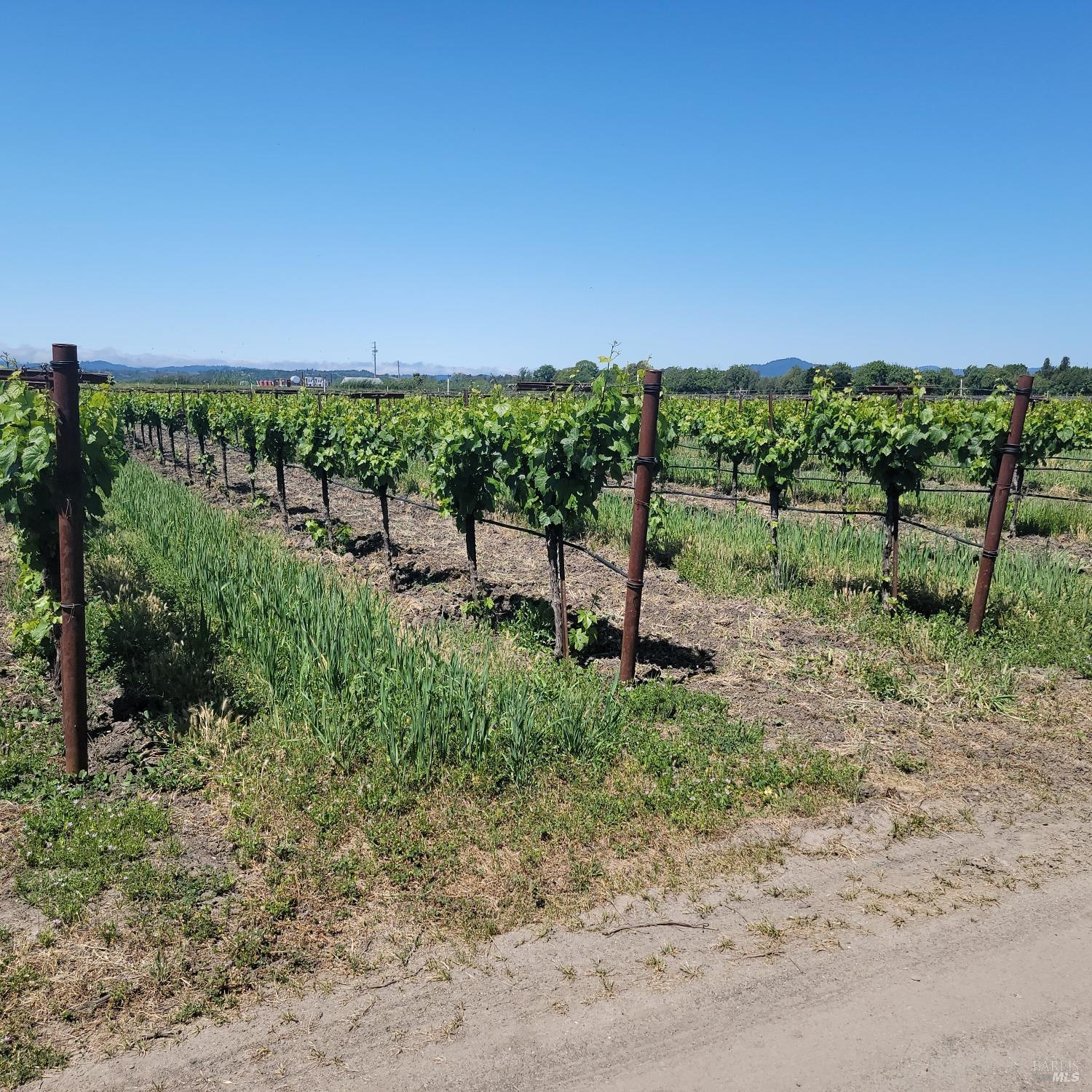2705 River Road Windsor CA 95492